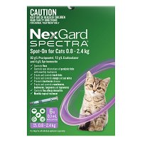 Nexgard Spectra Spot-On for Kittens and Small Cats 0.8 to 2.4kg