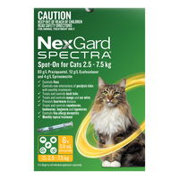 Nexgard Spectra Spot-On for cats for Large Cats 2.5 to 7.5kg