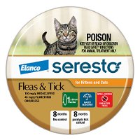 Seresto Flea Collar for Kittens & Cats (Orange)