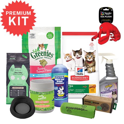 Kitten Starter Kit - Premium