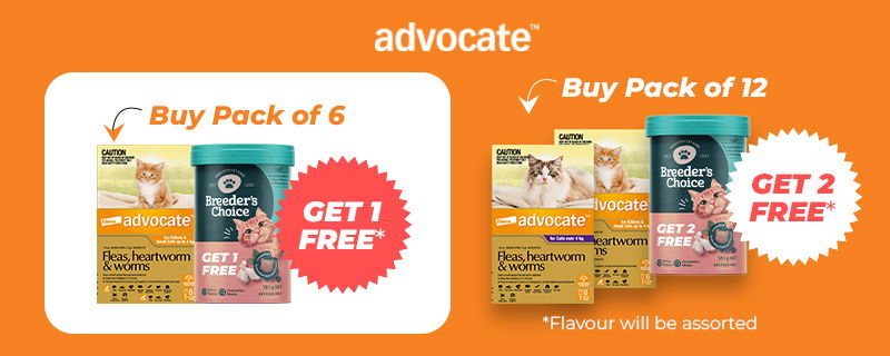 Advocate Cat