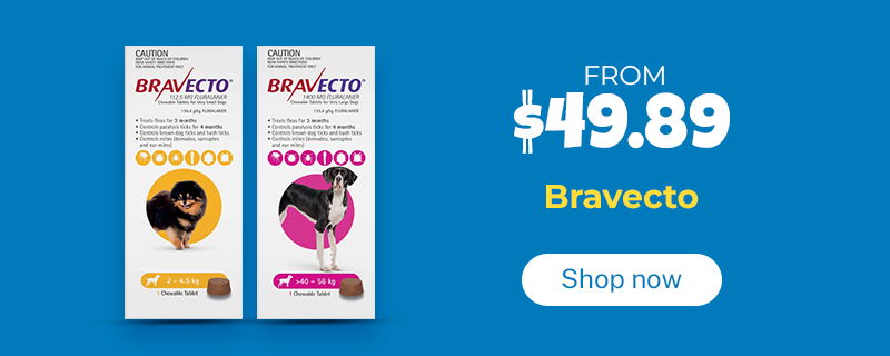 Bravecto