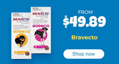 Bravecto