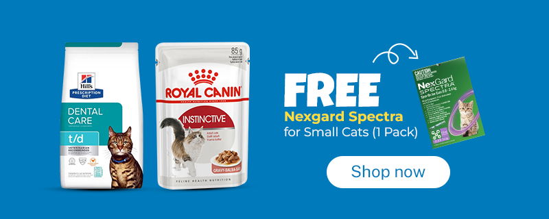 Nexgard Cat
