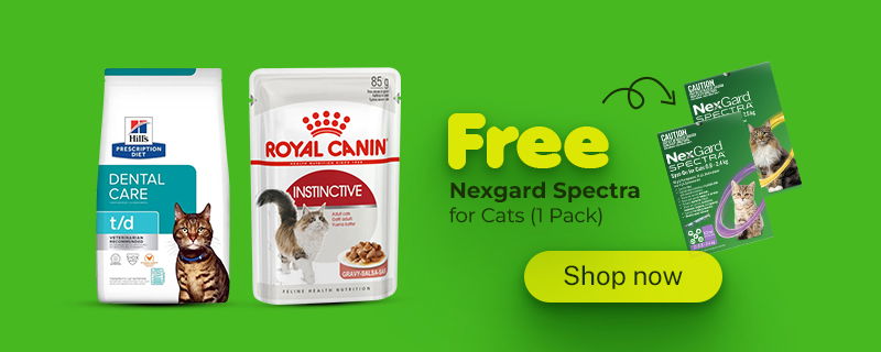 Nexgard Cat