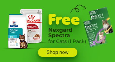 Nexgard Cat