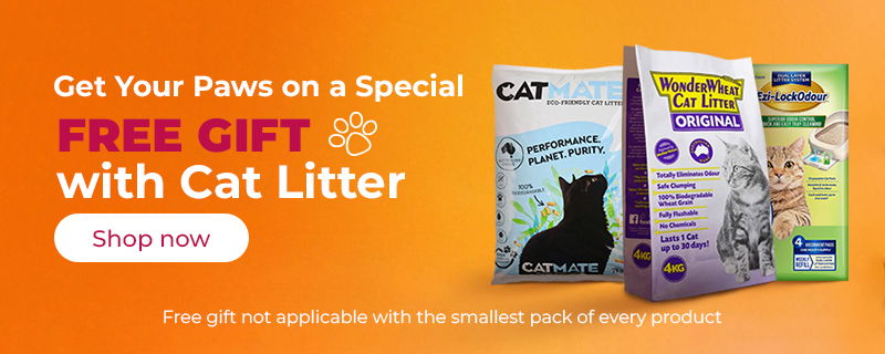 Cat Litter