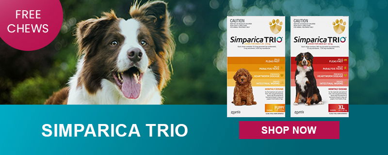 Simparica Trio