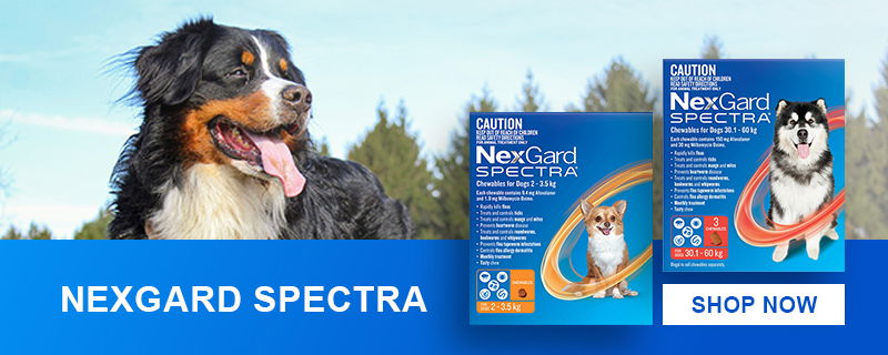 Nexgard Spectra