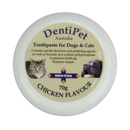 Dentipet Toothpaste for Cats and Dogs 70 Gm Chicken Flavour