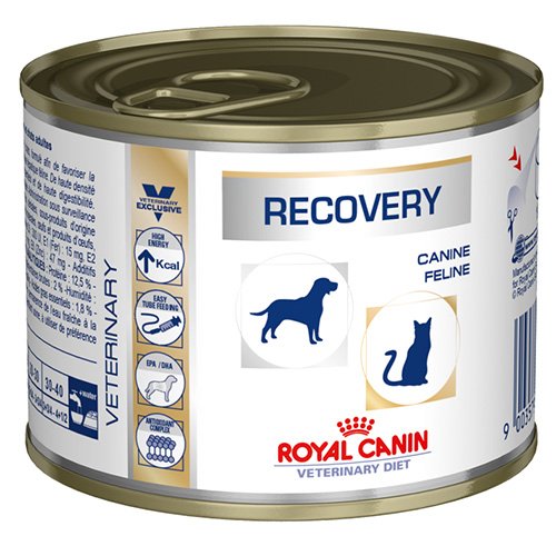 royal canines
