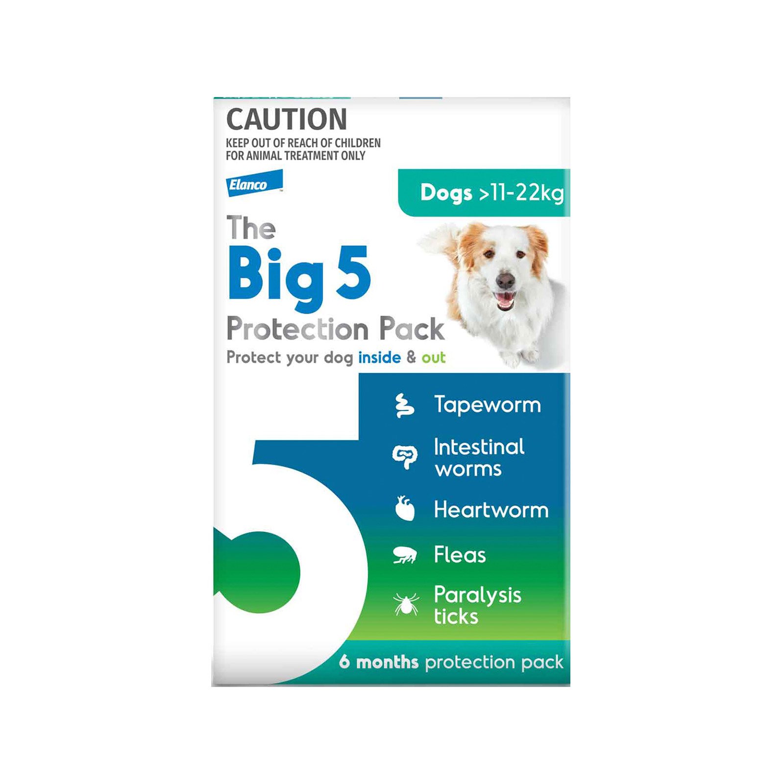 The Big 5 Protection Pack for Large Dogs (11-22 kg) Green