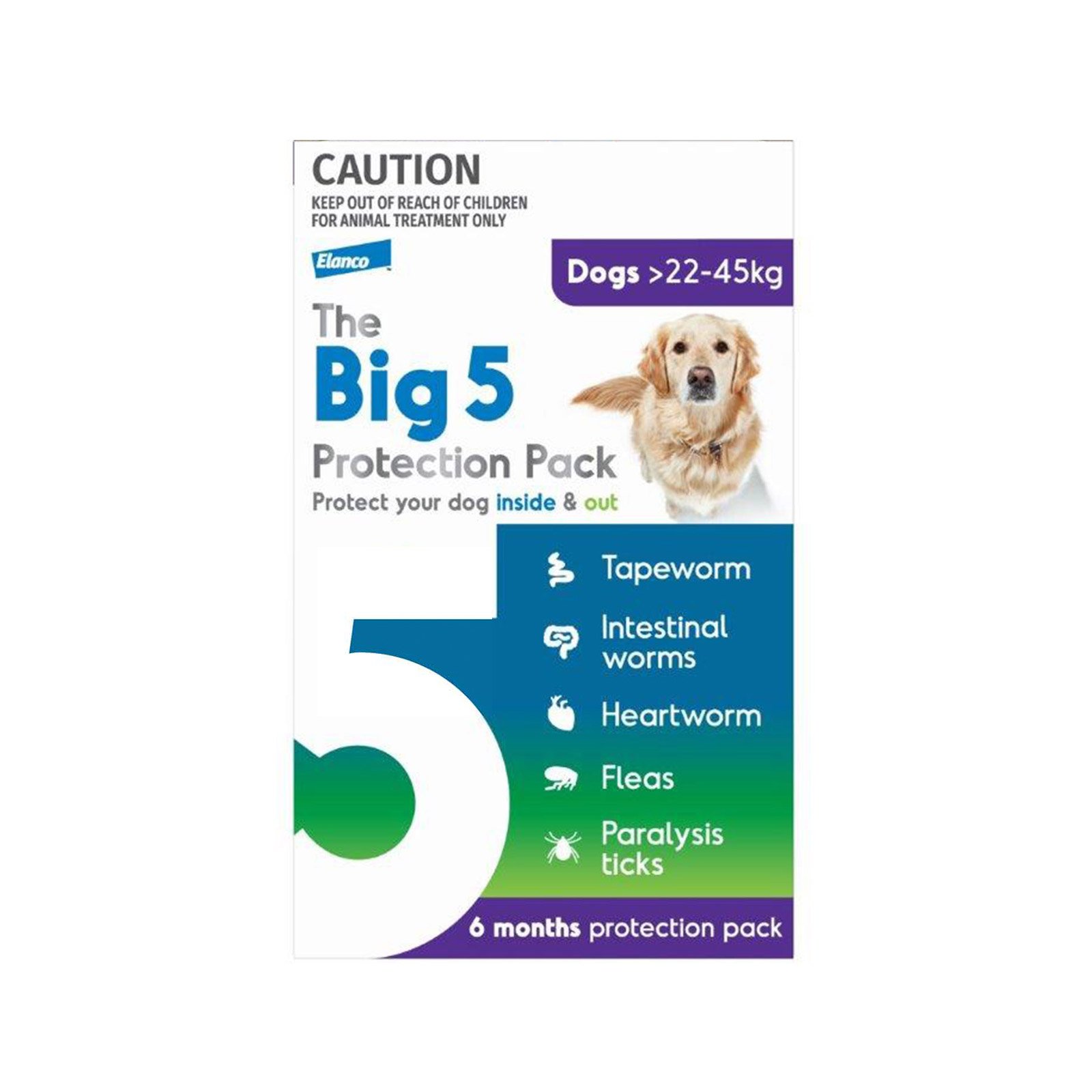 Big 5 Protection Pack for XLarge Dogs (22-45 kg) Purple