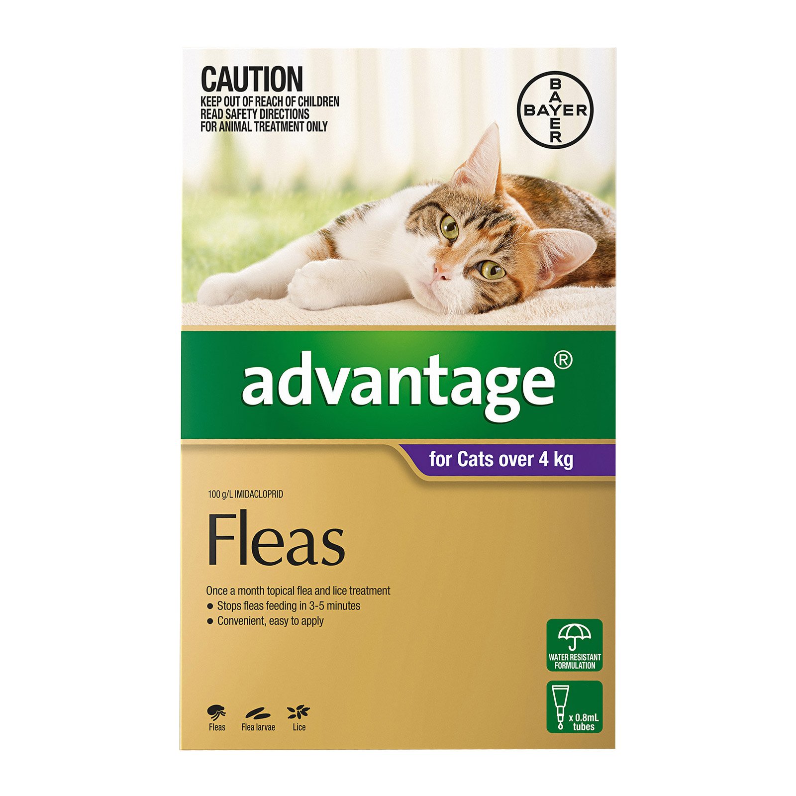 Advantage for Cats & Kittens Buy Advantage Flea Treatment for Online
