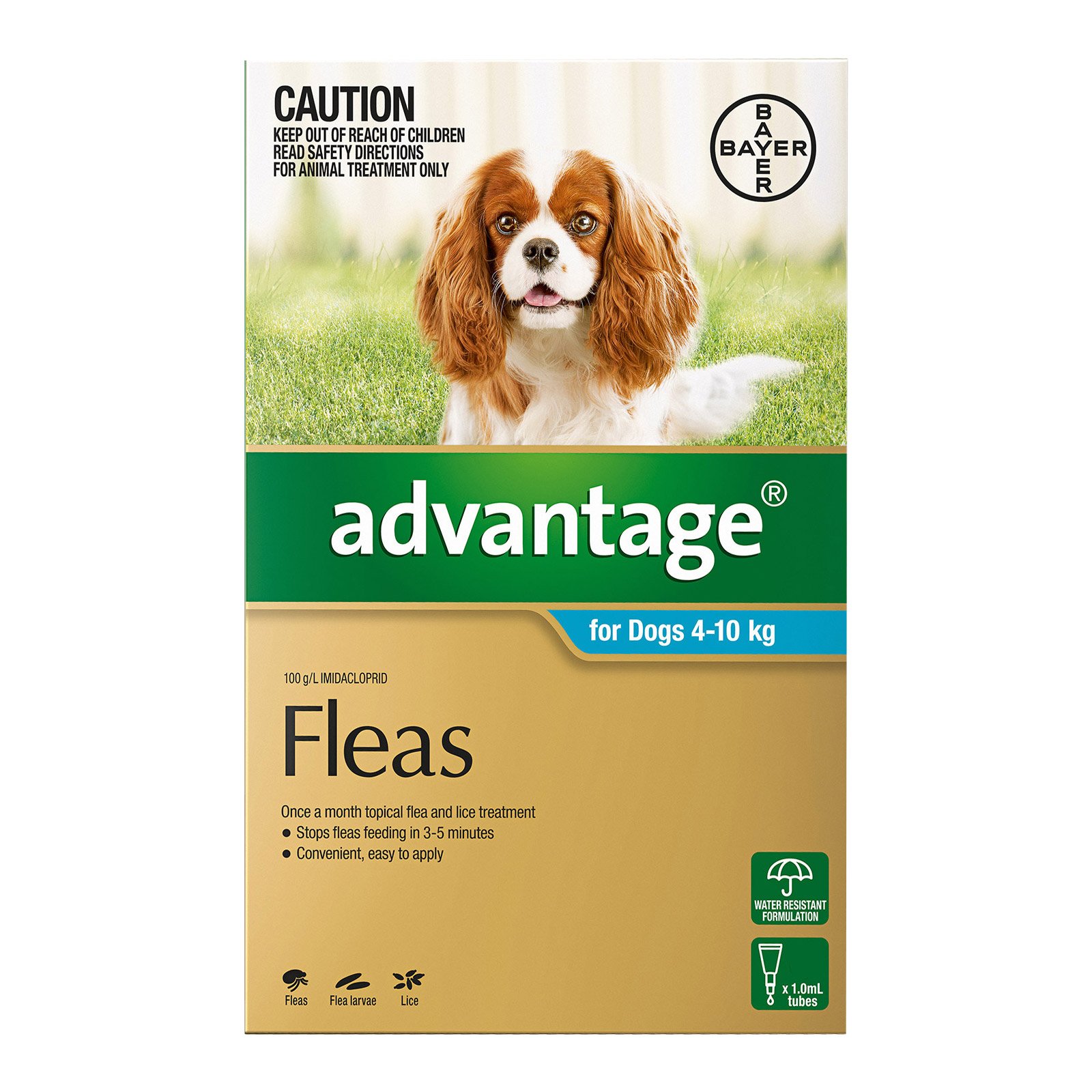 Advantage For Medium Dogs 4 To 10Kg (Aqua)