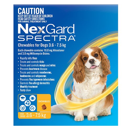 Nexgard Spectra Small Dogs (3.6-7.5kg) Yellow