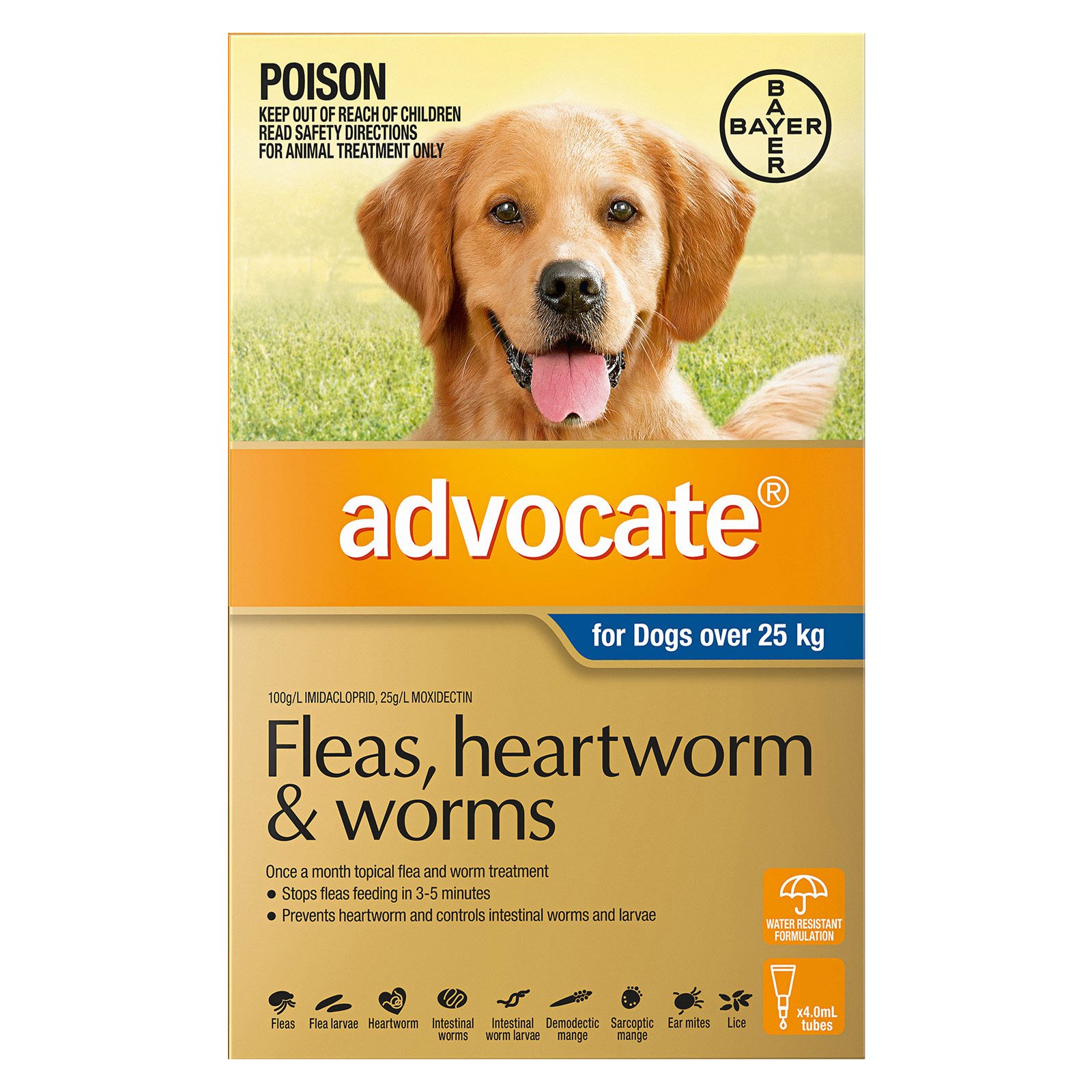 Advocate For Dogs Over 25 Kg (Extra Large Dogs) Blue