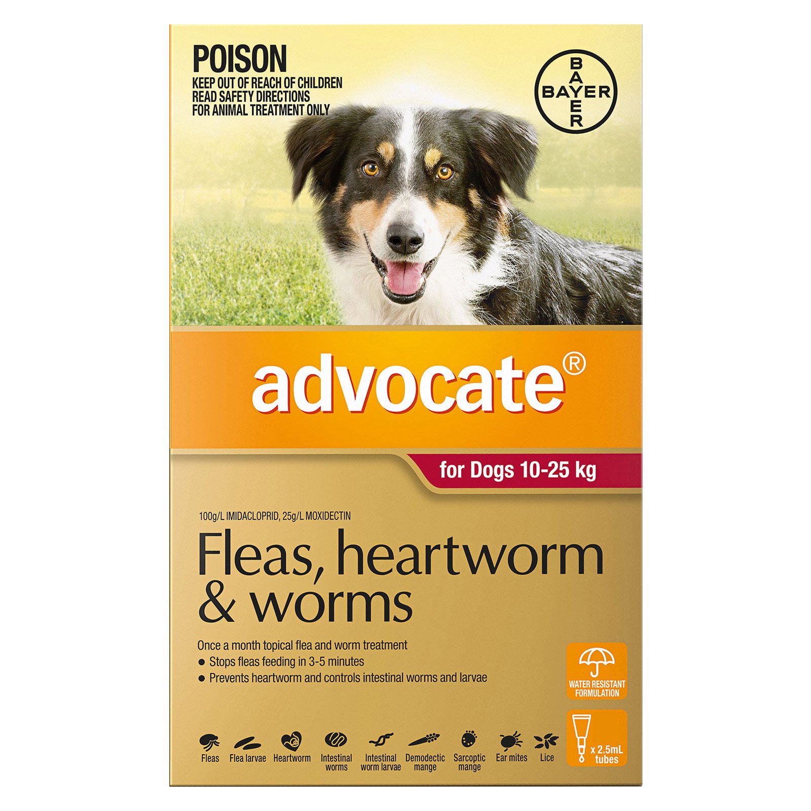 Advocate For Dogs 10 to 25 Kg (Large Dogs) Red