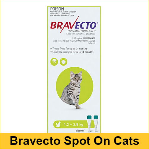 bravecto cat sizes