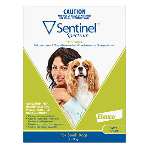 cheap sentinel for dogs